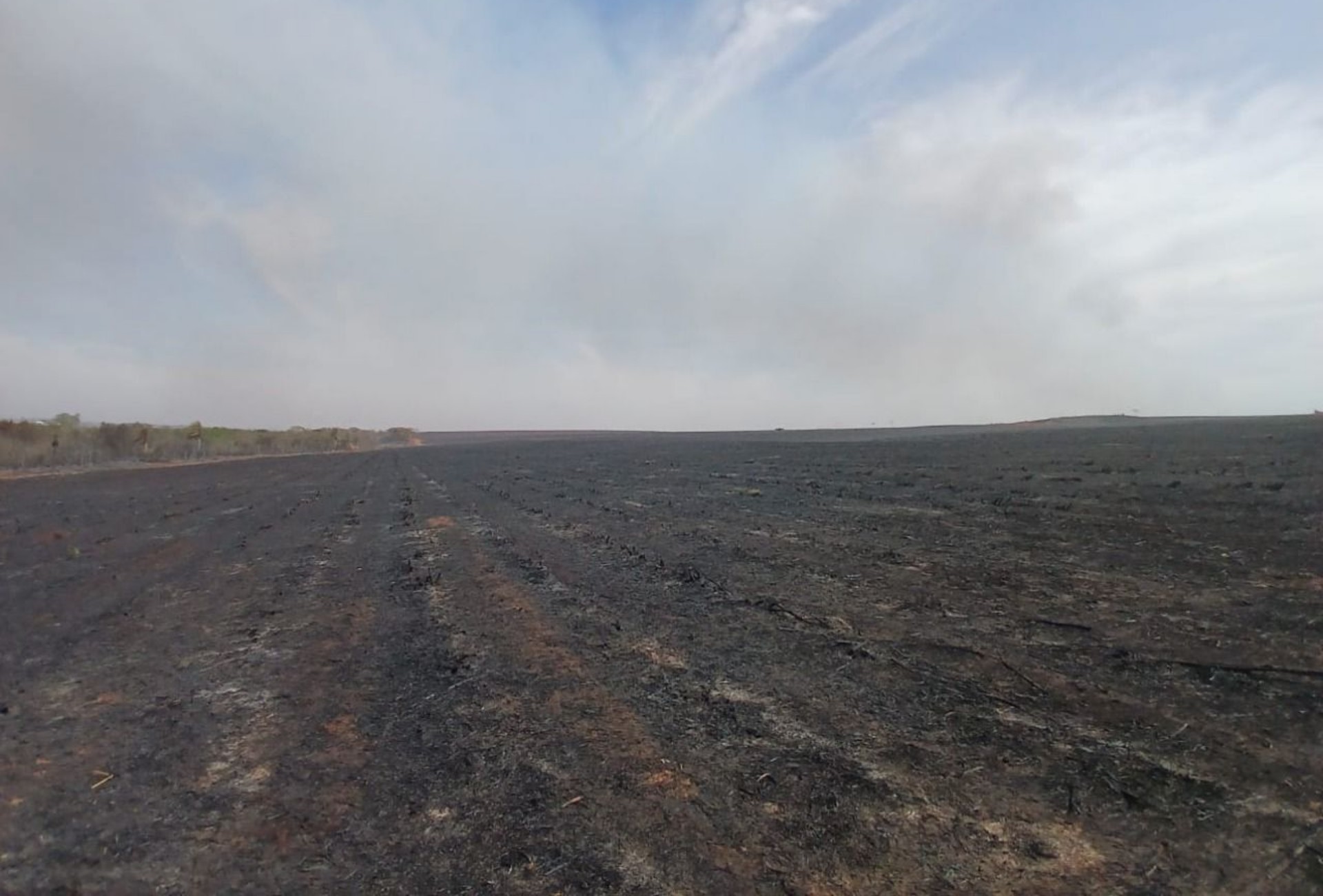 Fazenda de MS é multada em quase R$ 5 milhões após incêndio desmatar Área Preservada e Reserva Legal