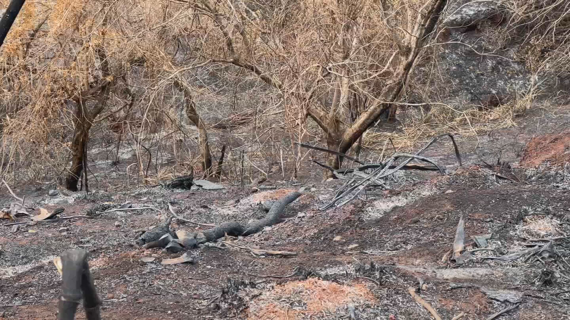 Estudo da Unesp de Botucatu avalia impactos de queimadas em fazenda na Cuesta Paulista