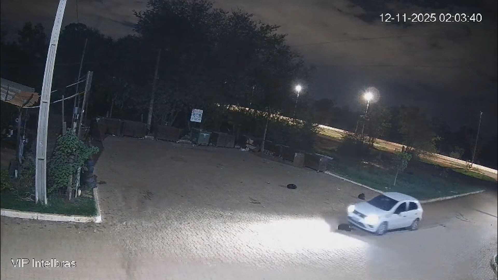 PM é preso por atropelar e matar cachorro em Vicente Pires, no DF; veja VÍDEO