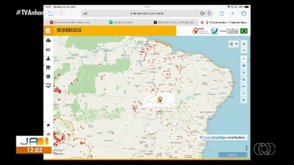 Mapa mostra quantidade de focos de queimadas registradas no Tocantins