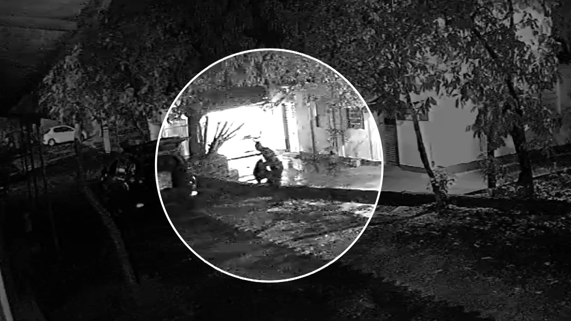 Polícia encerra inquérito e indicia GCM por furtar peças de pátio da Prefeitura de Ribeirão Preto, SP