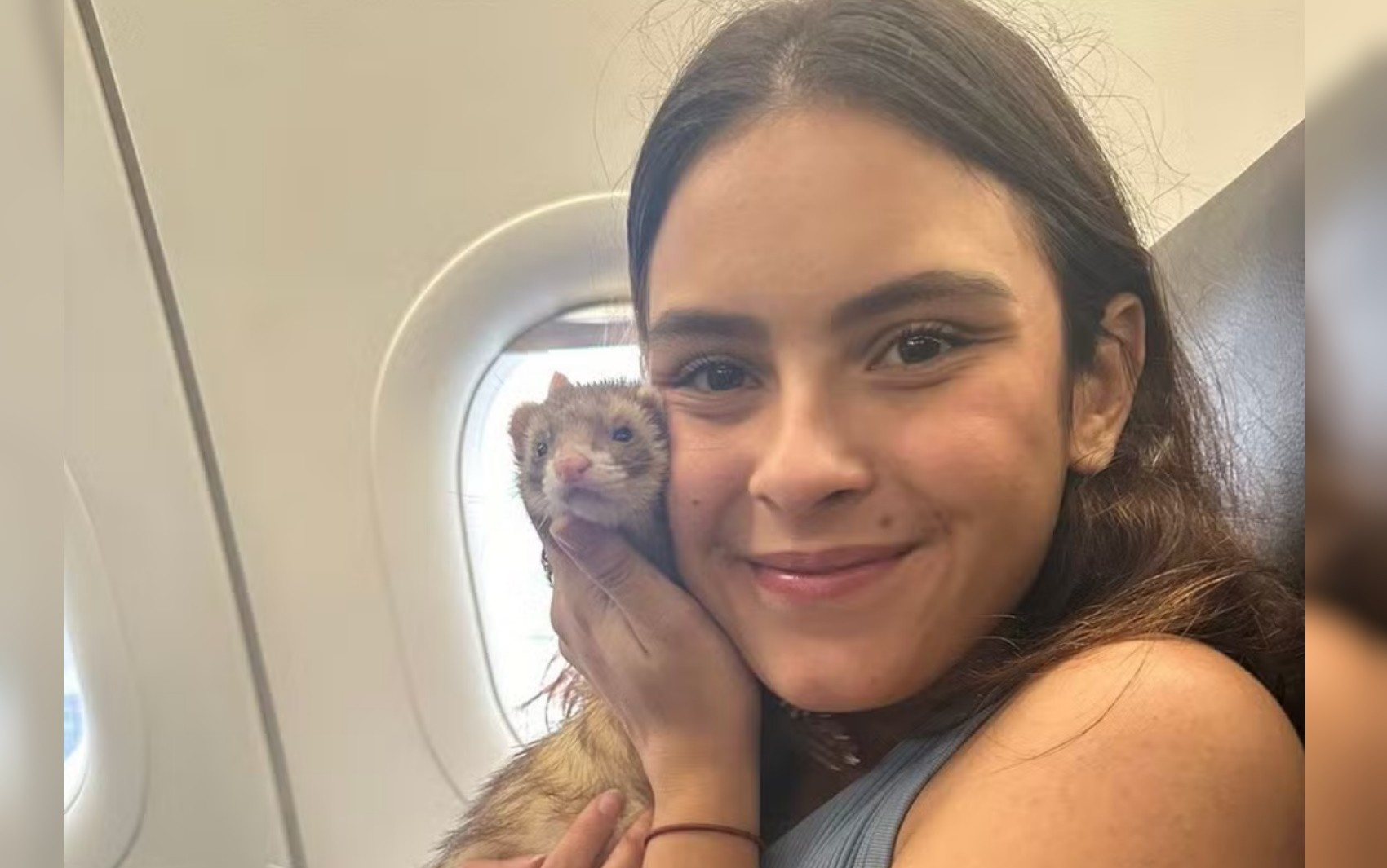 Estudante que ganhou na Justiça direito de embarcar em avião com furão diz que animal a ajuda a prevenir ansiedade: ‘Meu suporte emocional’