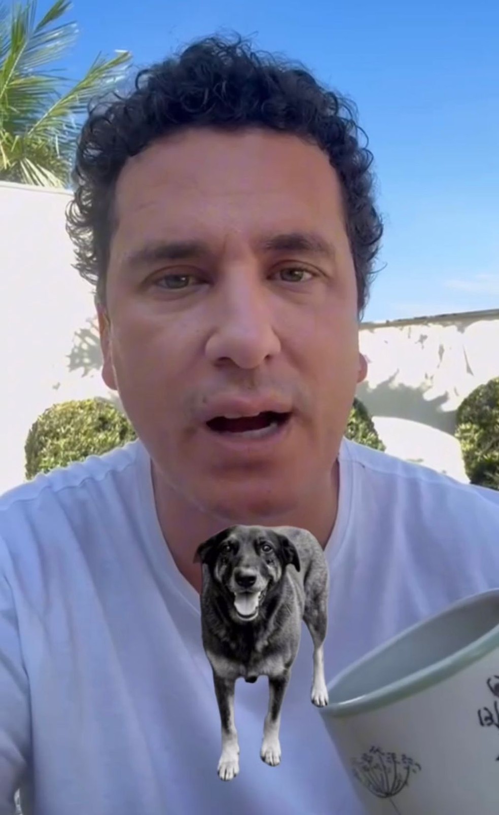 Ator e humorista Rafael Portugal lamenta morte do cão Orelha em Florianópolis — Foto: Reprodução/Redes sociais