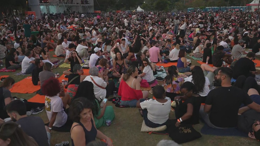 Público em gramado do Parque Ibirapuera para acompanhar Fernanda Montenegro — Foto: Reprodução/TV Globo