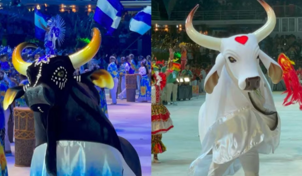 Arena Planeta Boi transforma Arena da Amazônia em palco da magia de Caprichoso e Garantido em Manaus