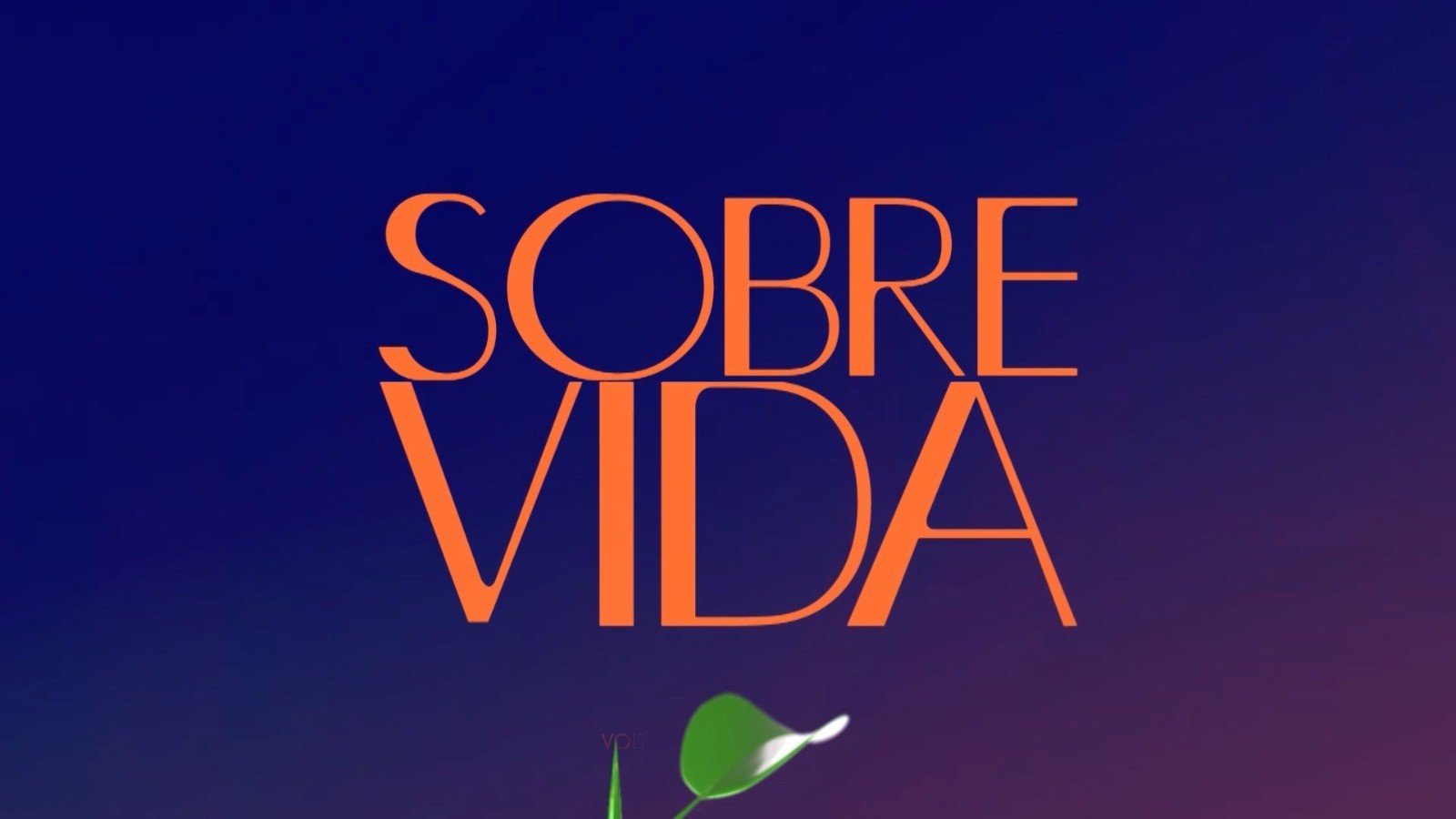 Sobrevida: assista ao programa especial da Rede Vanguarda sobre meio ambiente