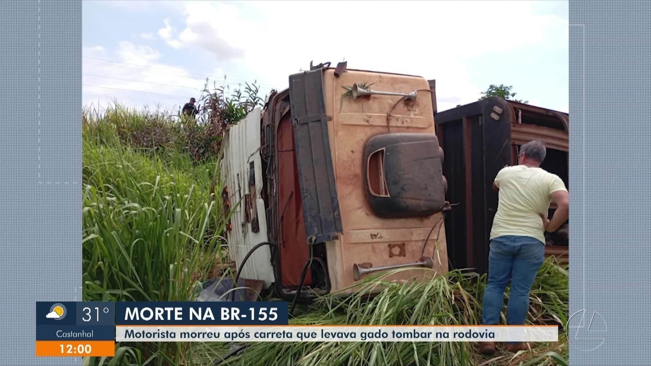 Motorista morre após carreta carregada com gado tombar na BR-155, no sul do Pará