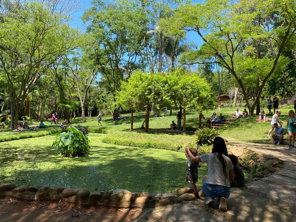 Jardim Botânico de Bauru tem vários espaços abertos para visitação — Foto: Prefeitura de Bauru/ Divulgação