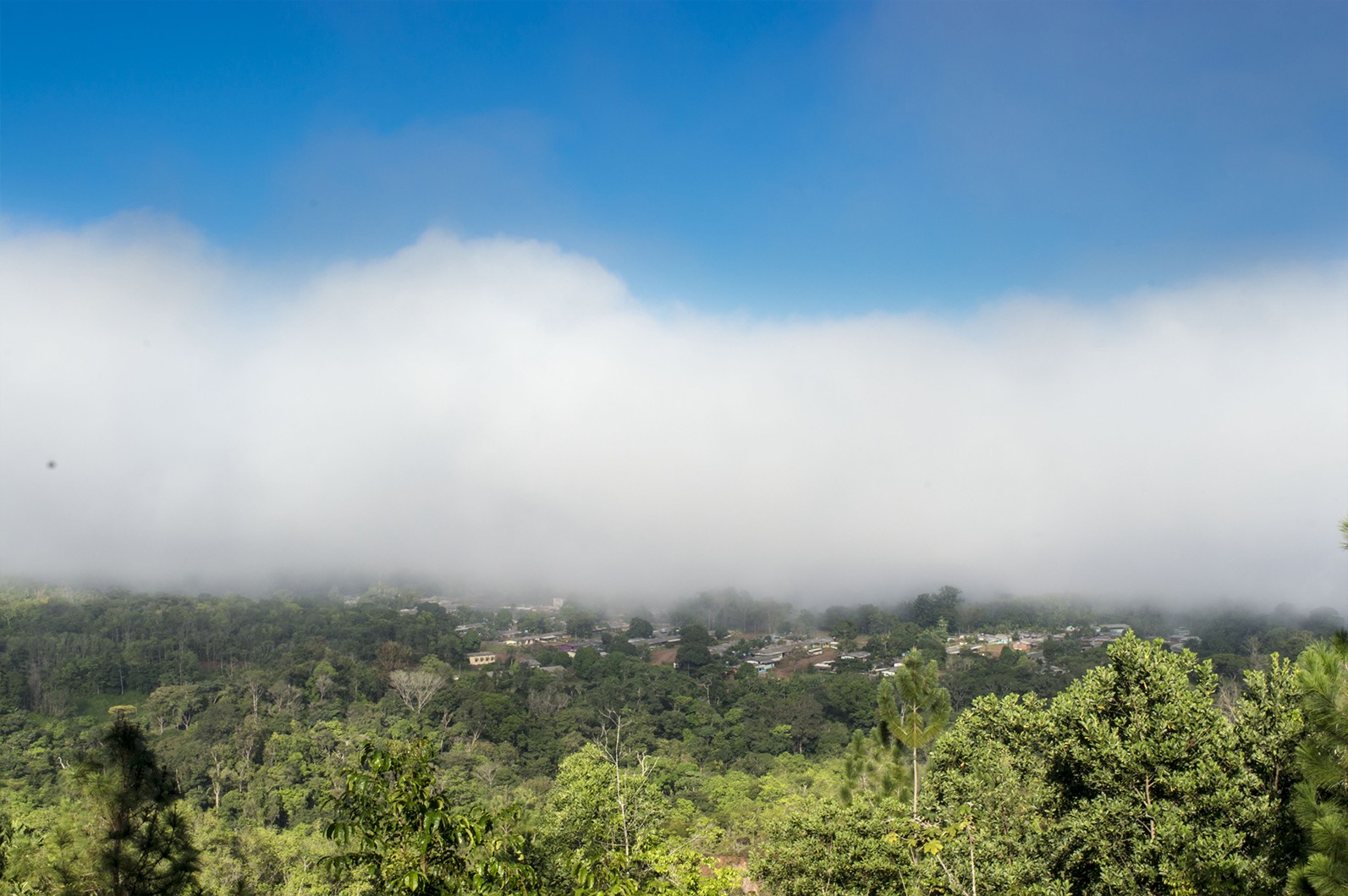 Internauta registra neblina em região serrana do AP durante verão amazônico