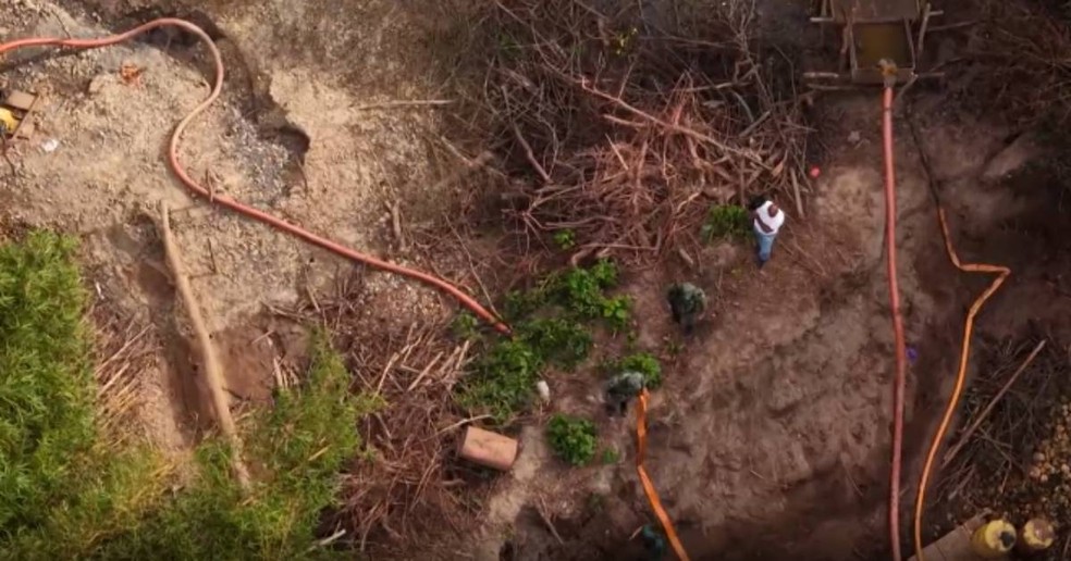 Imagens aéreas ajudaram no trabalho da polícia — Foto: Reprodução/TV Globo