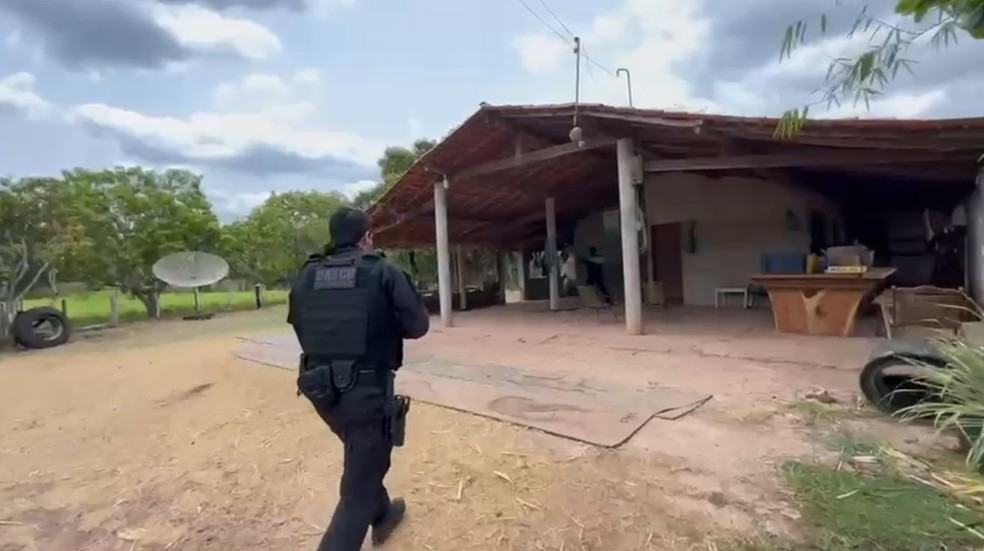Suspeitos de assaltos a banco e a carros-forte no Nordeste são presos em operação da Polícia Civil do Piauí — Foto: Polícia Civil