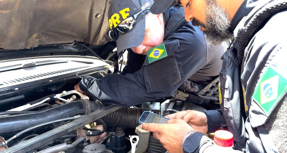 Polícia apreende mais de 160 veículos furtados, roubados e adulterados no PI e MA — Foto: Divulgação/PRF