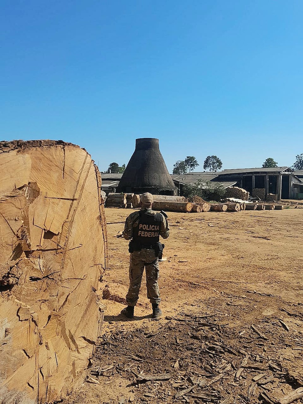 Operação da PF e Ibama investiga nove madeireira suspeitas de exploração em terra indígena — Foto: Polícia Federal/Divulgação