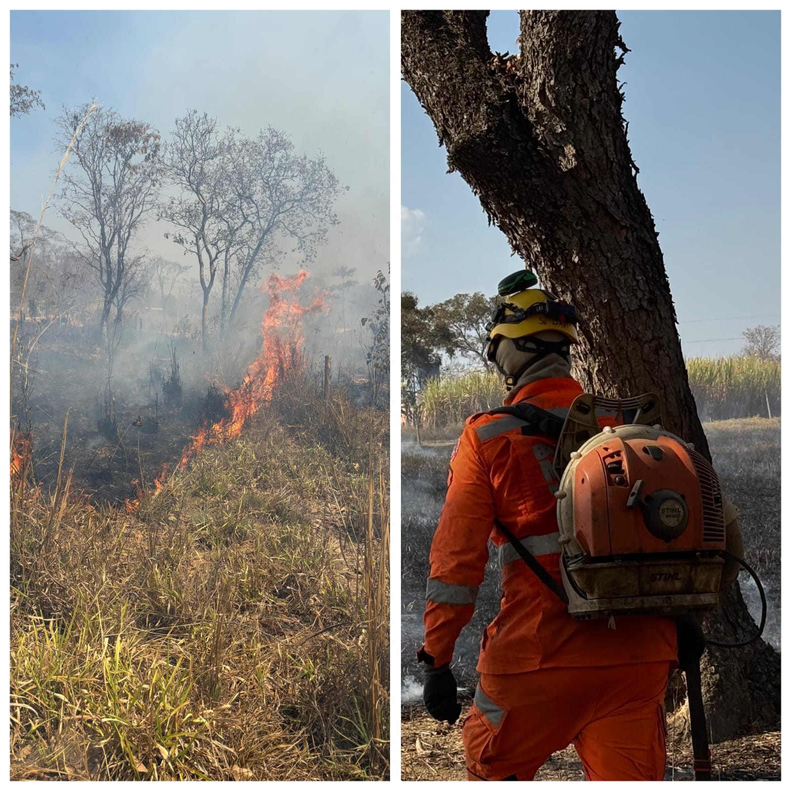 Incêndio de grande proporção atinge loteamento em Unaí