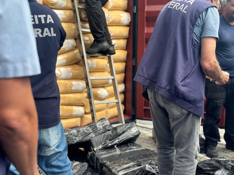 Tijolos de cocaína apreendidos pela Receita Federal no Porto do Mucuripe, em Fortaleza, estavam escondidos e contêiner com carga de carnaúba. — Foto: Receita Federal/ Divulgação