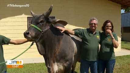 Confira os destaques do Jornal do Campo deste domingo (9)