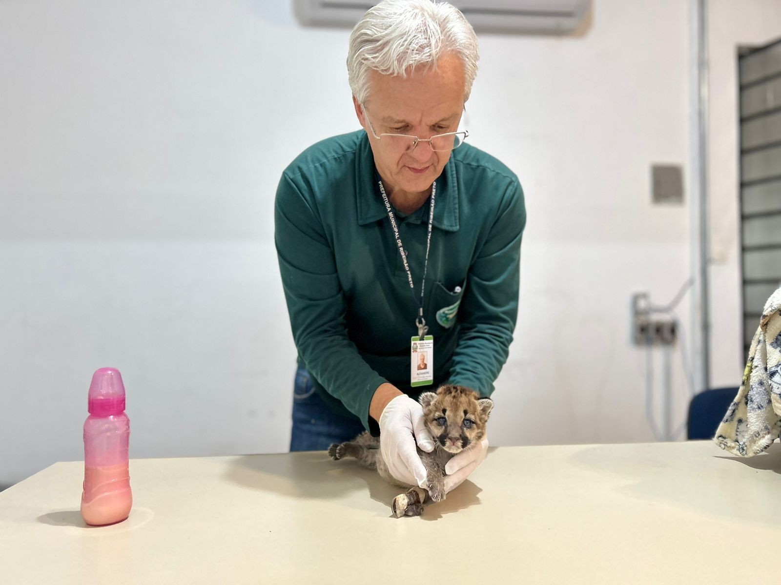 Número de animais mortos sobe para 44 desde o início da onda de incêndios no interior paulista, segundo Semil