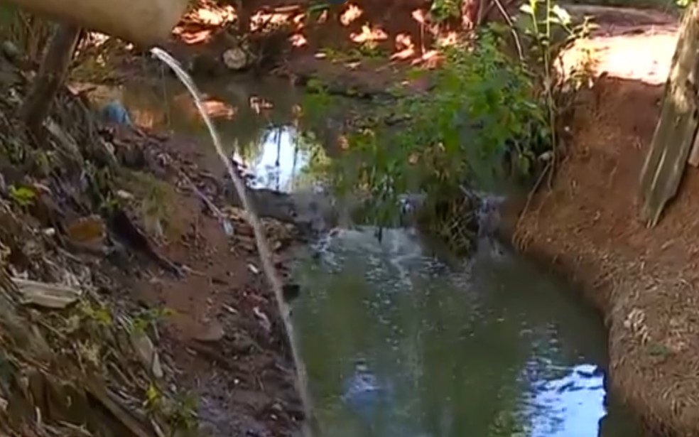 Bebê foi deixado às margens de córrego em Cosmópolis em área de descarte de lixo e despejo de esgoto — Foto: Reprodução/EPTV