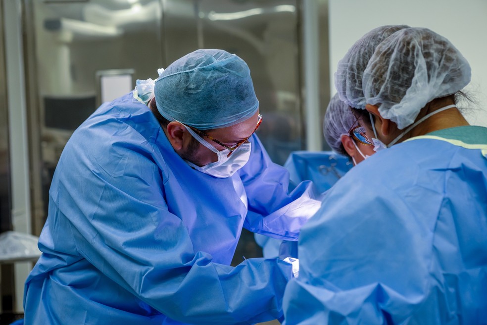 Cirurgiões utilizam MasSpec Pen para analisar células tumorais em tecidos — Foto: Divulgação/Einstein Hospital Israelita