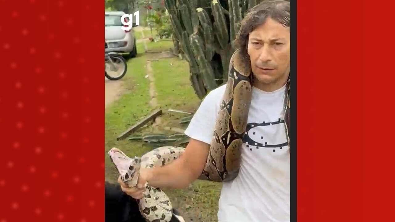 VÍDEO: cobra entra em área residencial na Zona Oeste de Manaus e assusta moradores