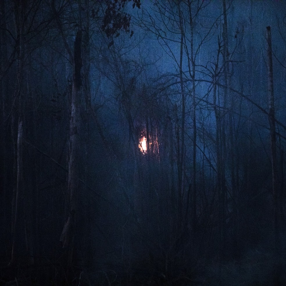 Foto da mostra Resiliência: Habitar na Emergência Climática — Foto: Vitor Morimaya