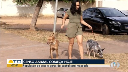 Censo para mapear população de cães e gatos de Palmas inicia nesta segunda-feira (22)