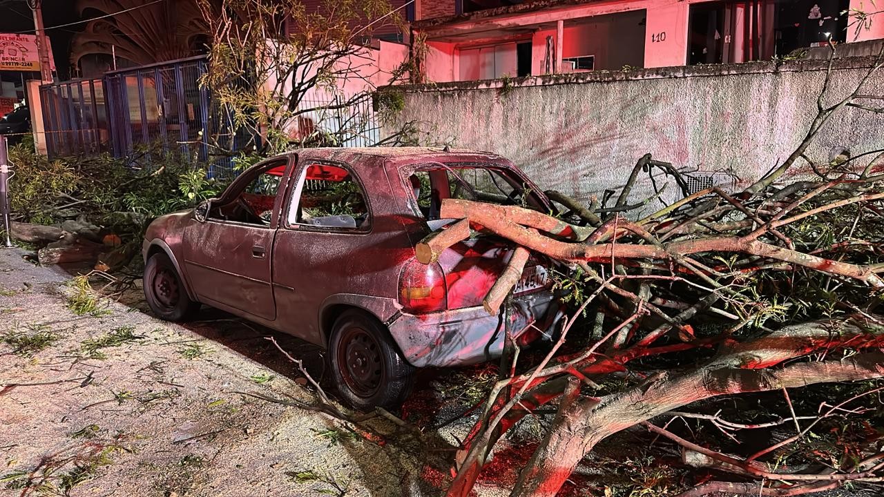Temporal provoca quedas de árvores sobre carros, derruba poste e deixa bairros sem energia em São José