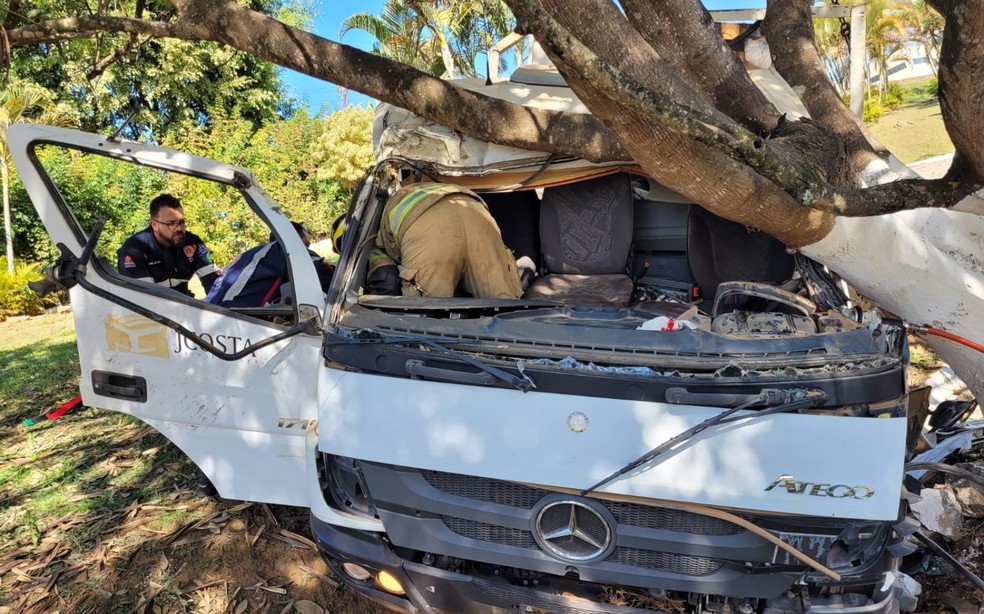 Motorista fica preso às ferragens após bater caminhão em árvores, na BR-459, em Santa Rita do Sapucaí, MG — Foto: Corpo de Bombeiros