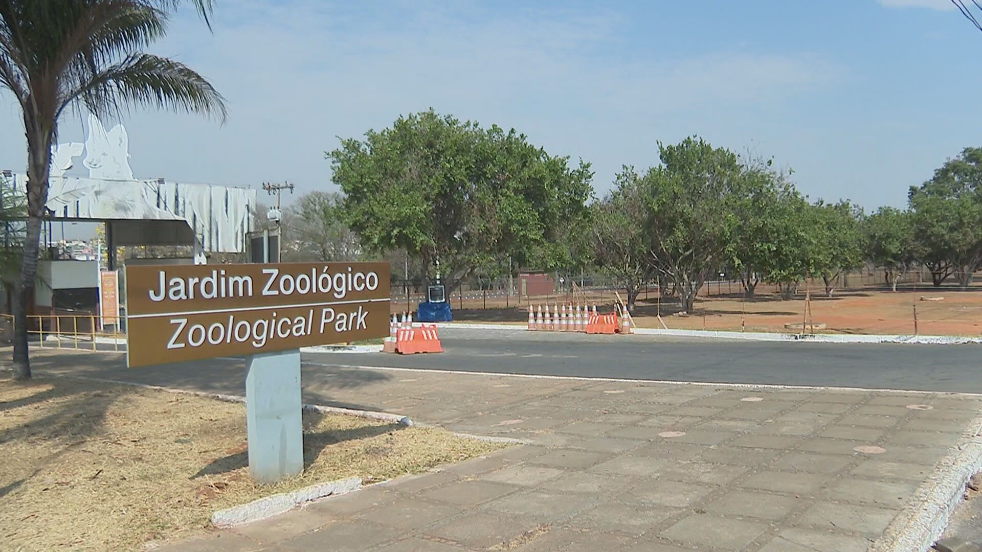 Zoológico de Brasília fecha por suspeita de gripe aviária