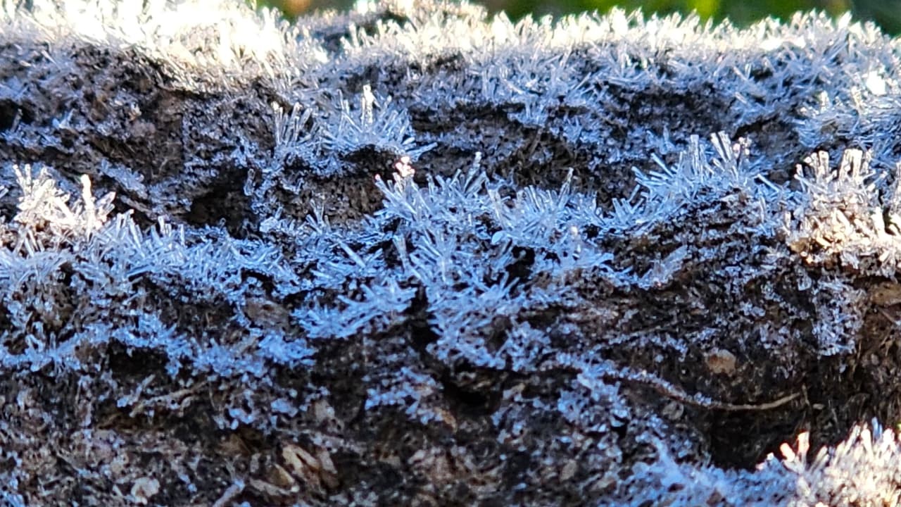 Geada cobre paisagem da Serra de SC neste domingo; FOTOS