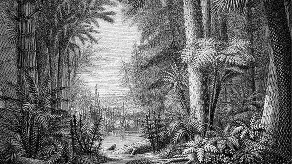 Na era paleozoica (entre 542 e 241 milhões de anos atrás), animais viviam majoritariamente em ambientes aquáticos — Foto: Getty Images via BBC