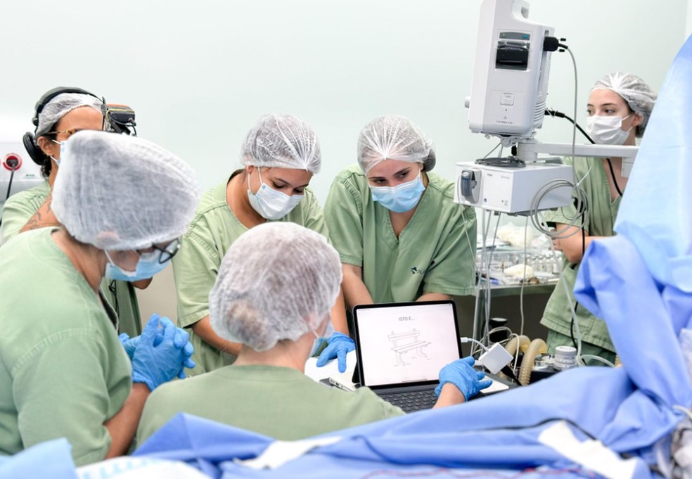 Pacientes interagem com imagens apresentadas pelas equipes — Foto: HC/SE