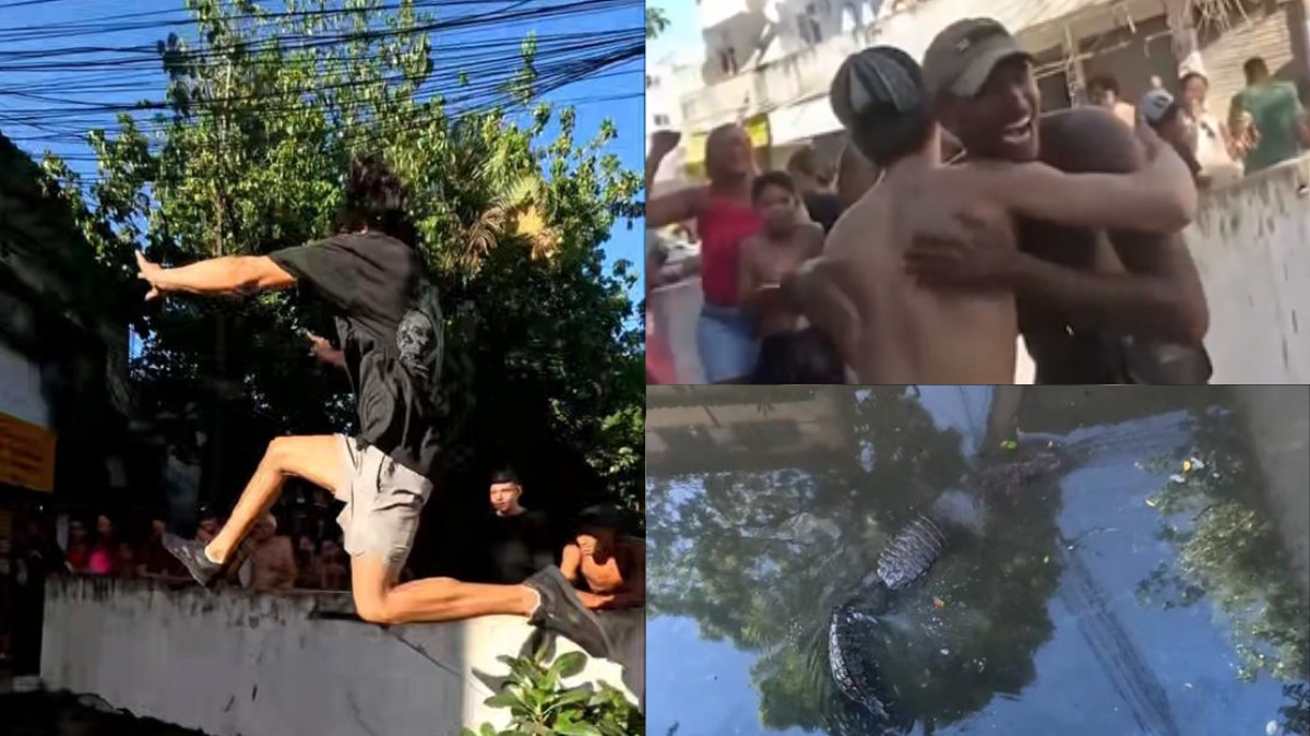 Salto de 5 metros sobre jacarés em esgoto a céu aberto com torcida no Rio viraliza: ' Vídeo mais brasileiro'