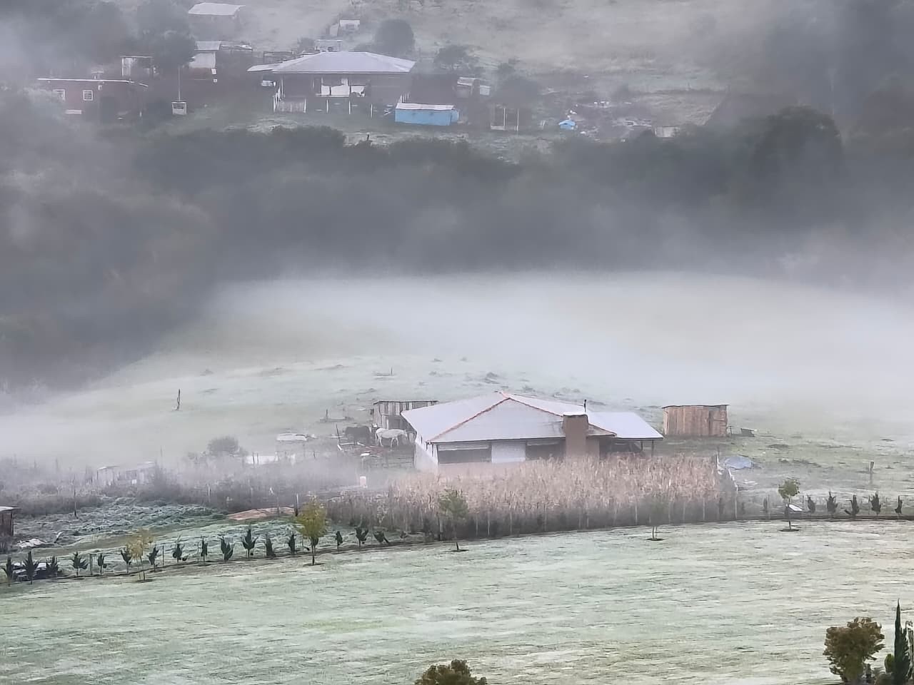 Paraná Prepara-se para Queda de Temperatura e Geadas na Semana
