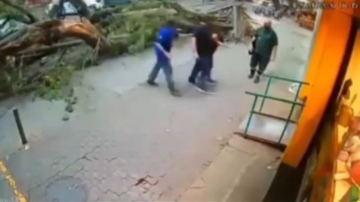 VÍDEO: homem sai ileso após ser atingido por queda de árvore na Tijuca