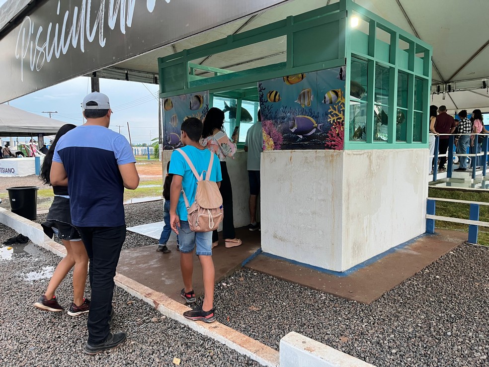 Aquário fica ao lado do tanque e é ligado a ele pela passarela de vidro. — Foto: Yara Ramalho/g1 RR