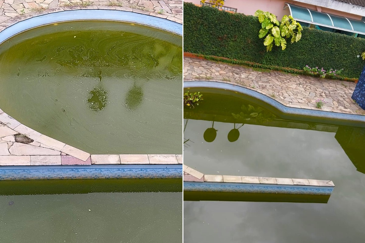 Piscina com água esverdeada e peixes dentro gera reclamação no litoral de SP: 'Não é aquário'; VÍDEO