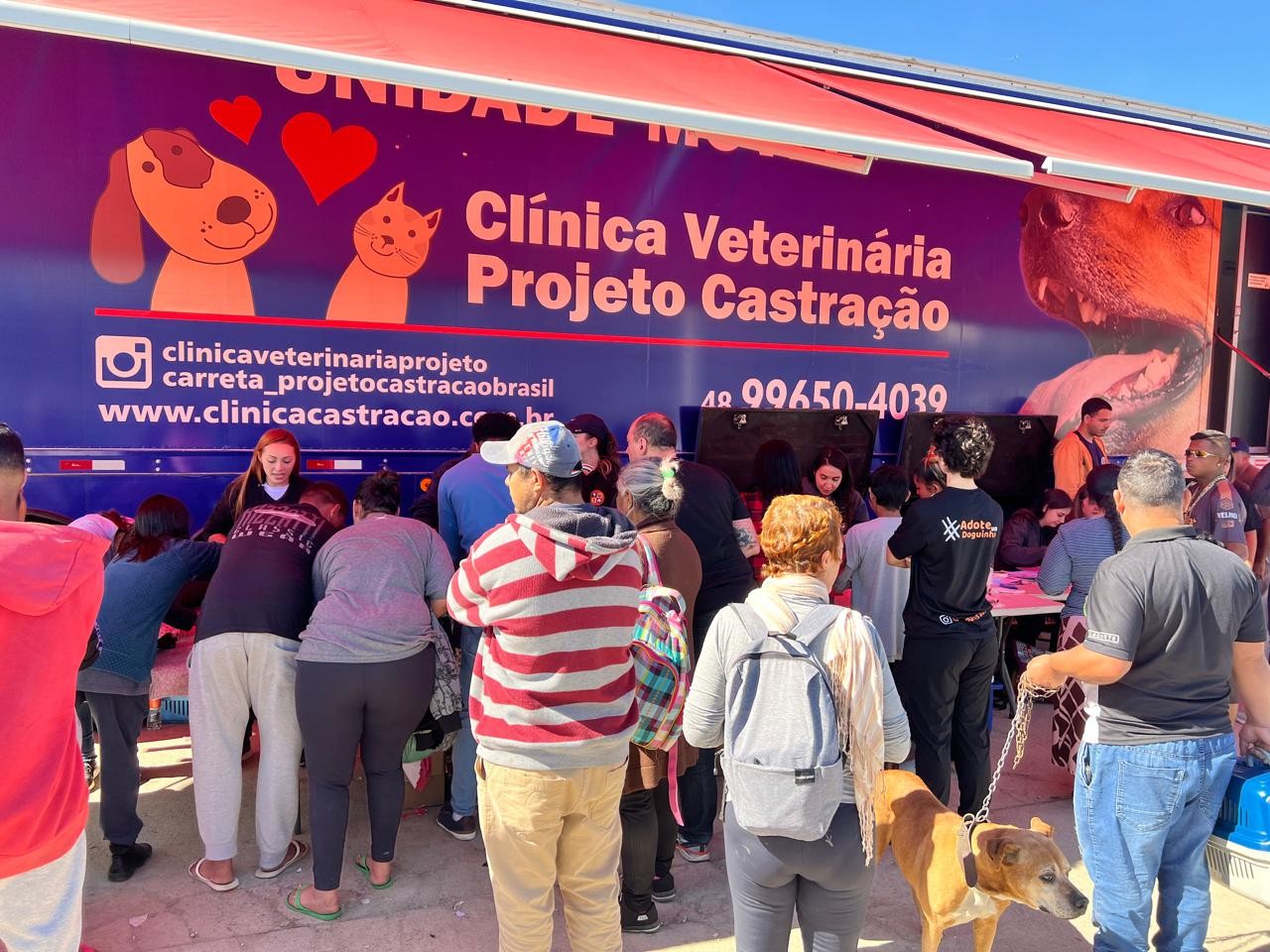 Mutirão de castração animal gratuita ocorre na Grande Florianópolis neste sábado