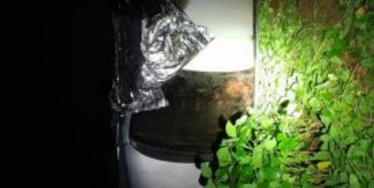 Motorista de 29 anos morre após capotar o carro no interior de SP