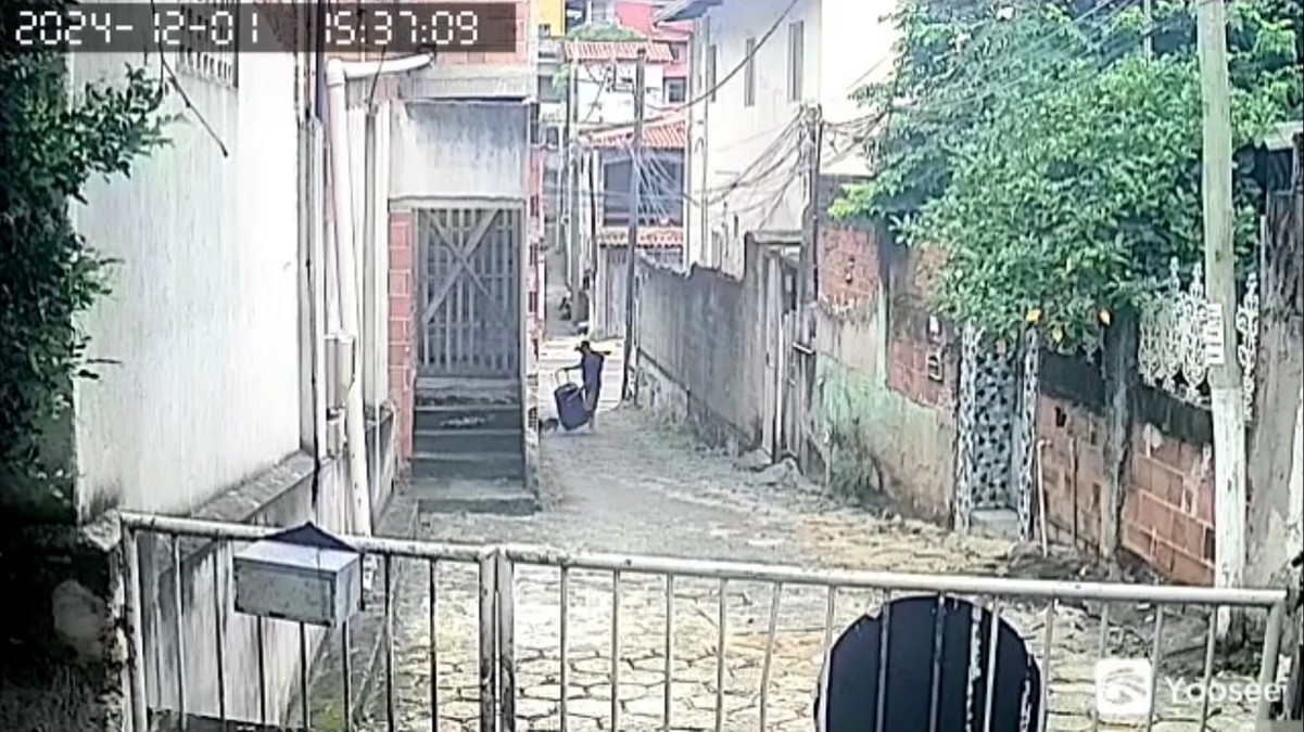 Vídeo mostra homem abandonando duas cadelas e seis filhotes após carregar animais em mala em Vitória