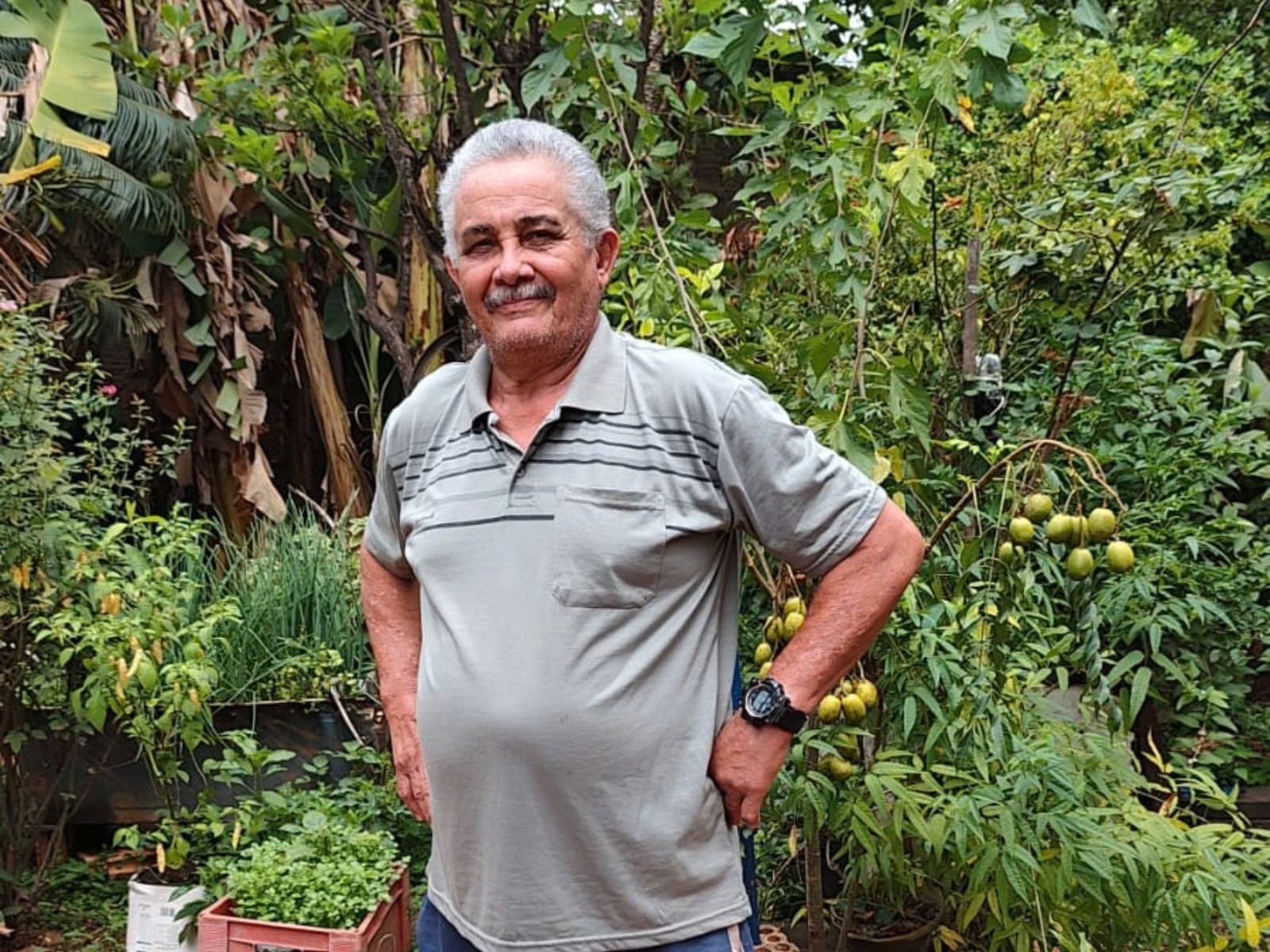 Idoso de 71 anos tenta reencontrar irmão que não vê desde que deixou o Acre na infância: ‘Sonho’