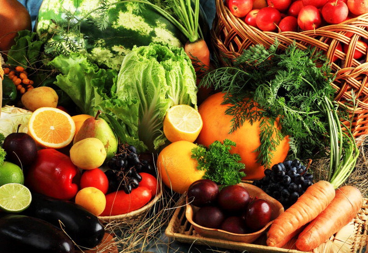 7 Exemplos De Produtos Agropecuarios Produsidos Em Feira De Santana