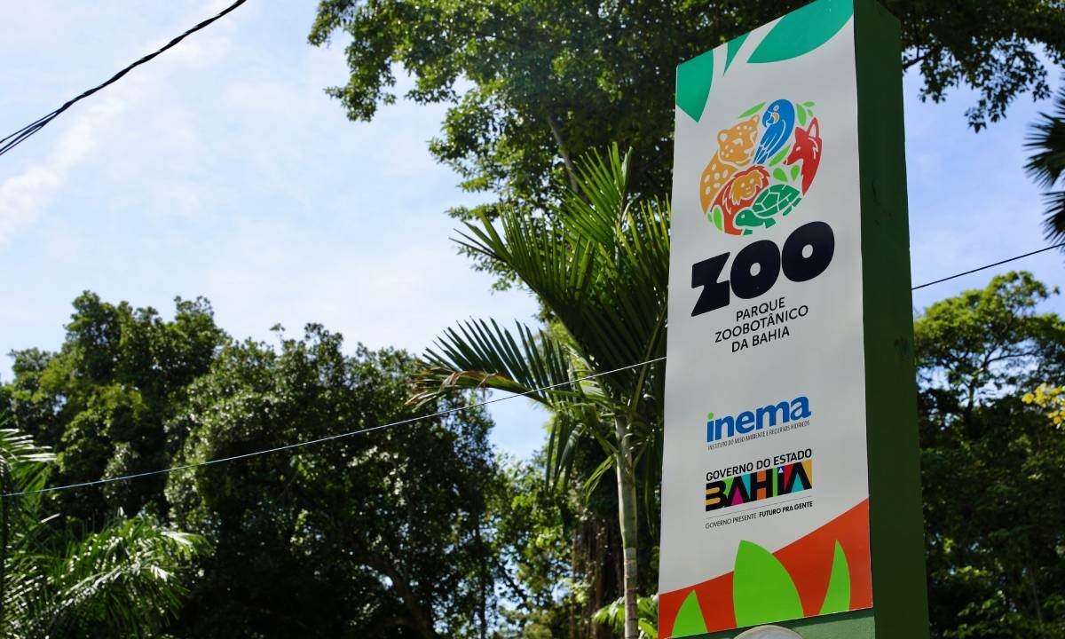 Zoológico de Salvador divulga calendário de visitas noturnas gratuitas; veja como participar