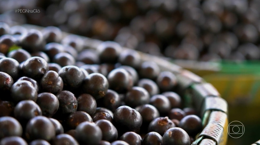 Do lixo ao lucro: empreendedor fatura R$ 230 mil com caroço de açaí — Foto: Reprodução/PEGN