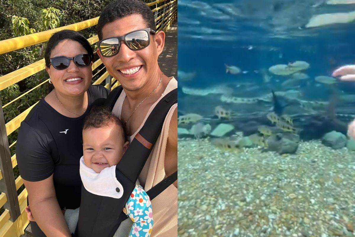 Sucuri surpreende turistas em rio de águas cristalinas em MS: 'muito grande'