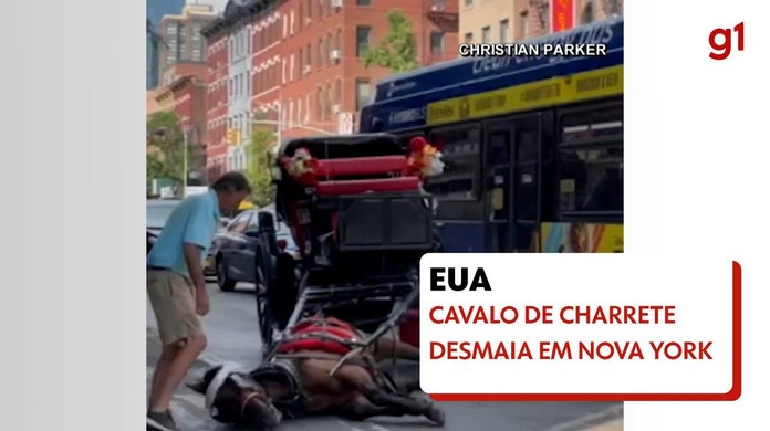 Cavalo usa 'estratégia inteligente' para fugir do curral e vídeo se torna  viral nas redes sociais – Metro World News Brasil