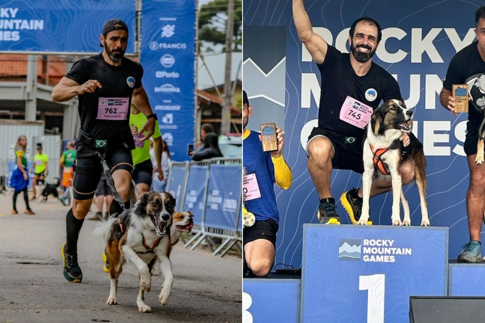 Cadela é resgatada das ruas e se torna campeã brasileira de esportes caninos — Foto: Reprodução/Instagram