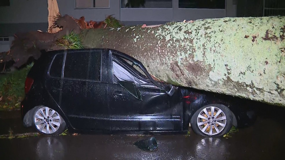 Árvore caiu sobre carro durante temporal em Porto Alegre — Foto: RBS TV/Reprodução