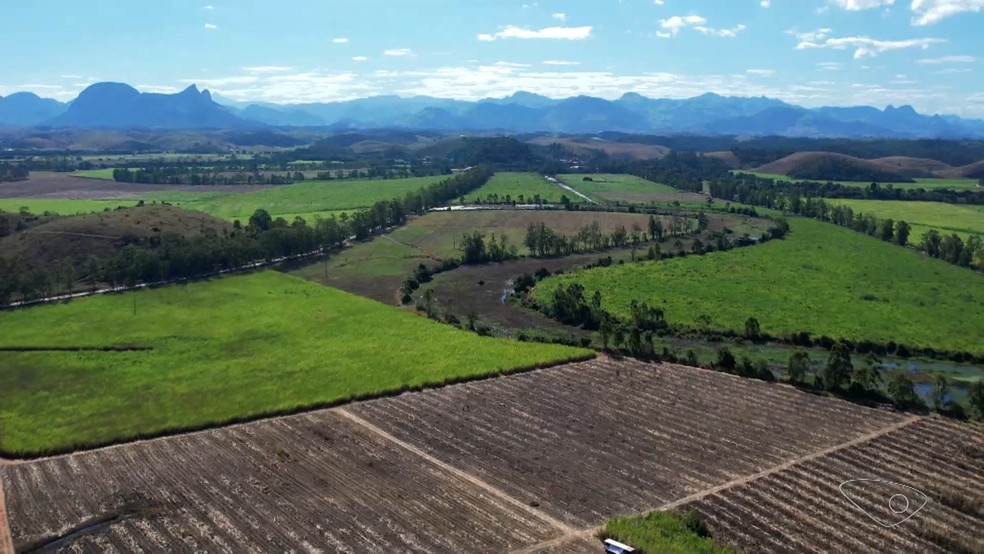 Indústria de beneficiamento de cana de açúcar arrenda matéria-prima para garantir produção o ano inteiro no Sul do Espírito Santo. — Foto: TV Gazeta