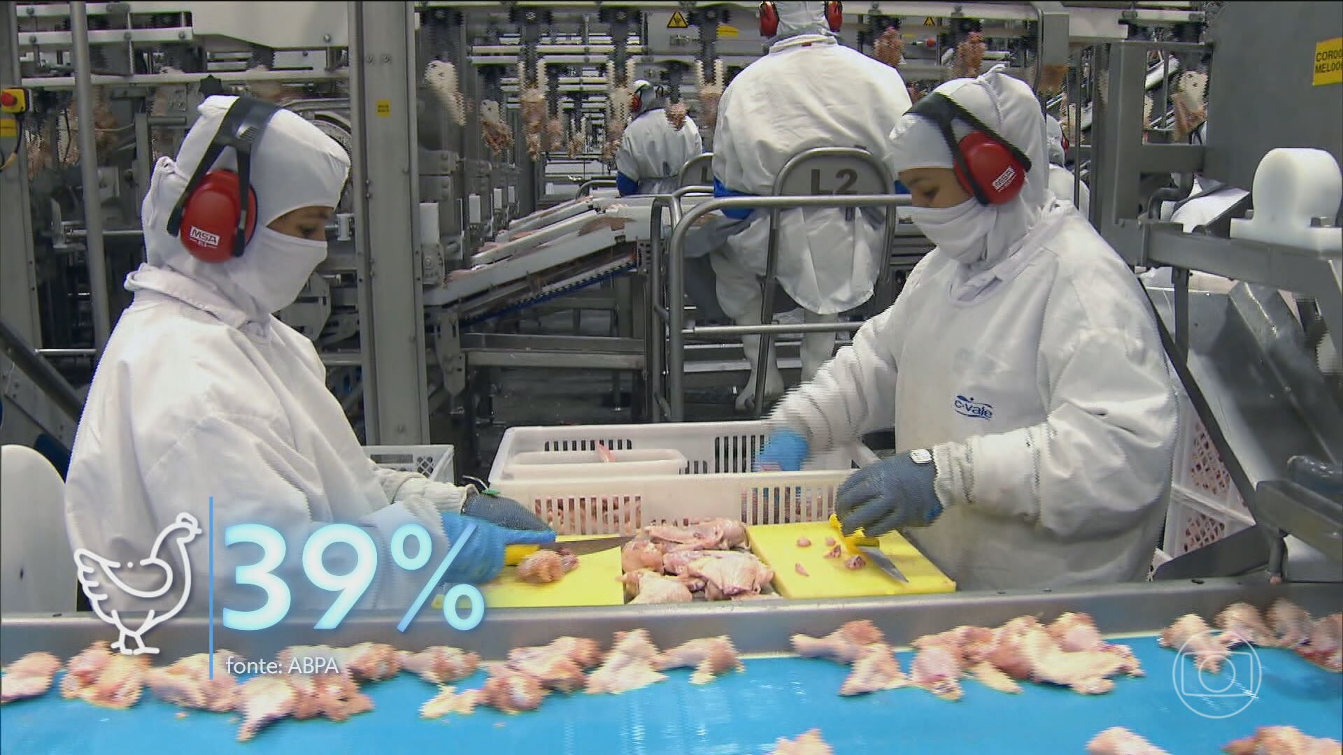 Antes de casos de gripe aviária, Brasil bate recorde de exportações de carne de frango